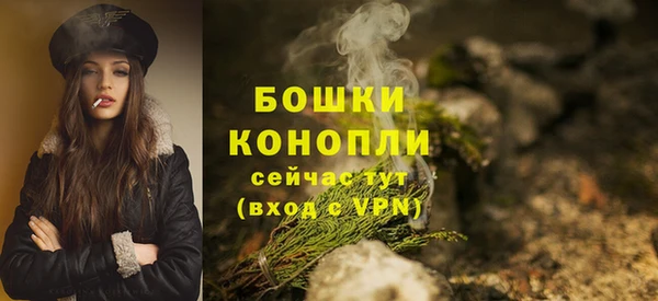 бошки Няндома