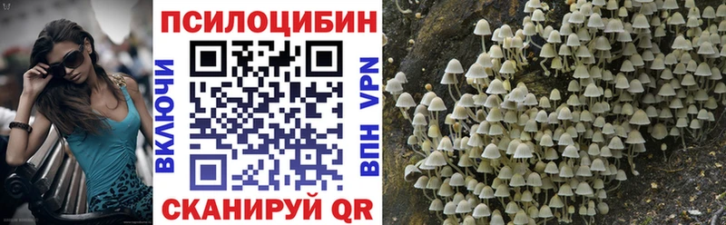 Купить  Тимашёвск  Псилоцибиновые грибы мухоморы 